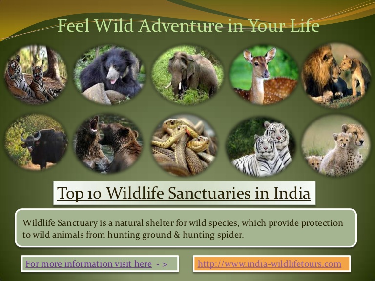 Download ppt on national parks and wildlife sanctuaries in india